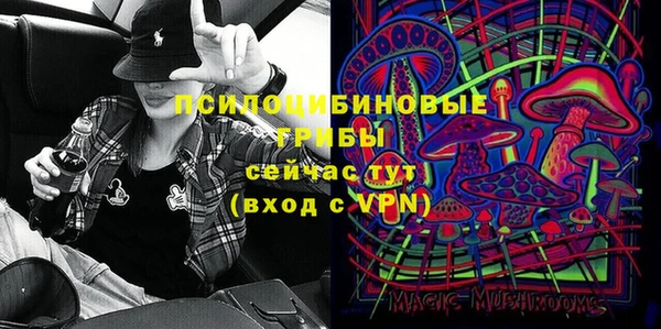 таблы Бородино