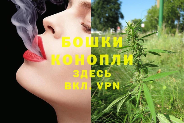 таблы Бородино