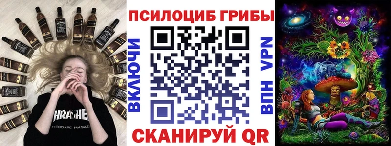 наркотики  Меленки  Псилоцибиновые грибы Psilocybe 